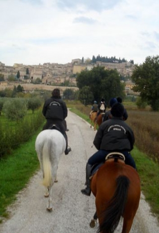  ¡Qué forma tan cómoda de moverse! 